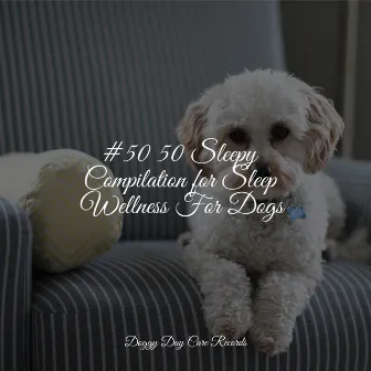 #50 50 Sleepy Compilation for Sleep Wellness For Dogs by Relaxmydog