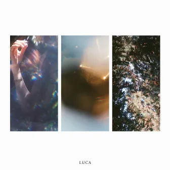 So, I Began by LUCA