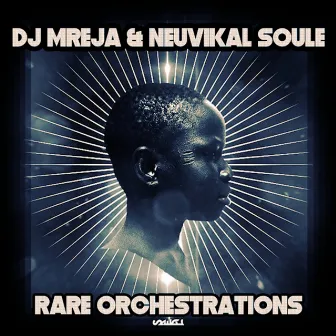 Rare Orchestrations by Neuvikal soule