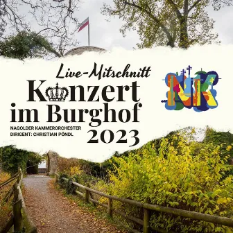 Konzert im Burghof 2023 by Unknown Artist