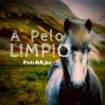 A Pelo Limpio by Pati Rajao