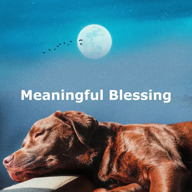 Meaningful Blessing