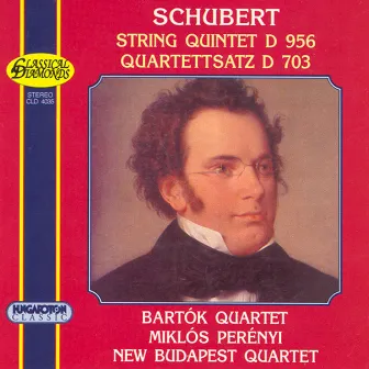 Schubert: String Quintet in C Major, D. 956 / String Quartet No. 12 in C Minor, 