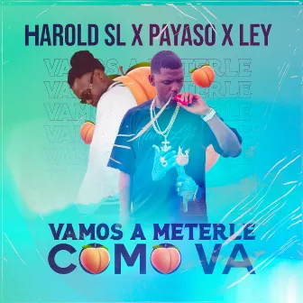 Vamos a Meterle como Va by Harold SL