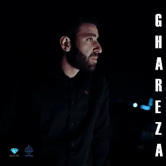 غريزه by Mu3gza Music