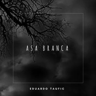 Asa Branca by Eduardo Taufic