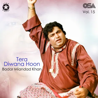 Tera Diwana Hoon, Vol. 15 by Badar Ali Khan