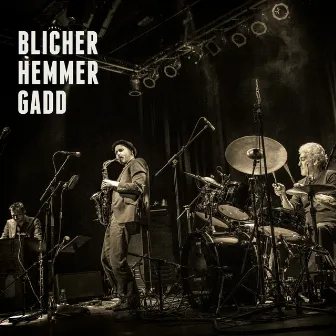 Blicher Hemmer Gadd by Steve Gadd