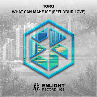 What Can Make Me (Feel Your Love) by Torq