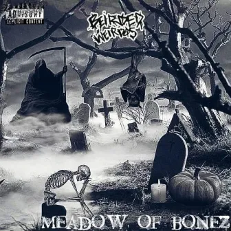 Meadow Of Bonez by Beirded Weirdos