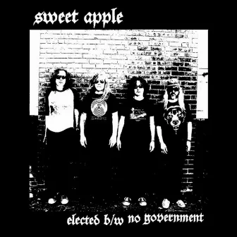 Elected by Sweet Apple