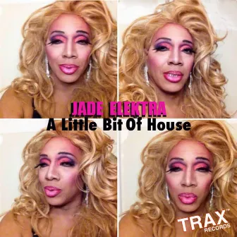 A LITTLE BIT OF HOUSE by Jade Elektra