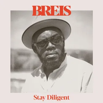 Stay Diligent by BREIS