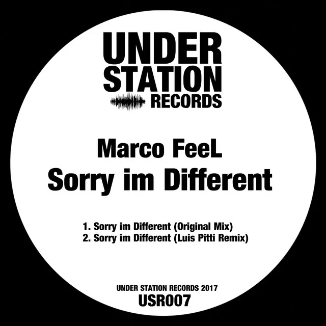 Sorry Im Different - Luis Pitti Remix