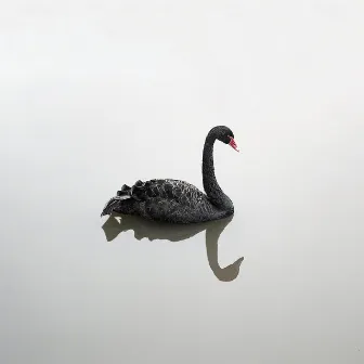 Swan King in the Snow by Dave Deporis