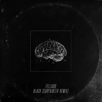 Black (Carpainter Remix) by Fellsius