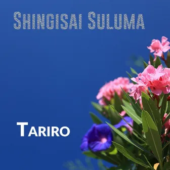 Tariro by Shingisai Suluma