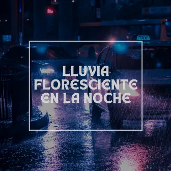 Lluvia floresciente en la noche Vol.1 by Alguna música