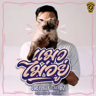 แมวไม่อยู่ by Joey Boy