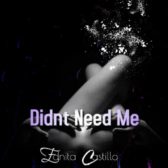 Didnt Need Me by Ednita Castillo