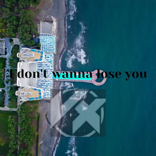 I Don't Wanna Lose You