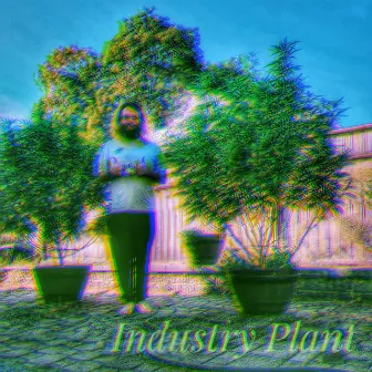 Industry Plant by Trent De La Cruz