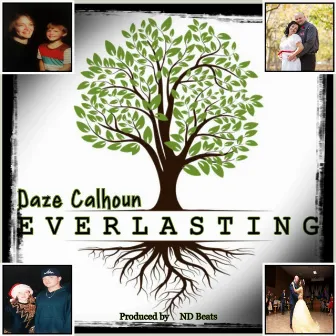 Everlasting by Daze Calhoun