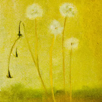 Dandelions by Jackson Lundy