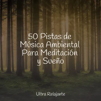 50 Pistas de Música Ambiental Para Meditación y Sueño by Musica Relajante Specialistas & Musica Relajante