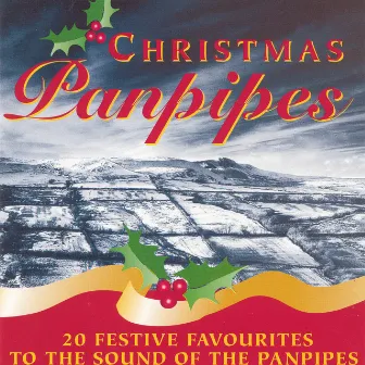 Christmas Panpipes by George Bradley