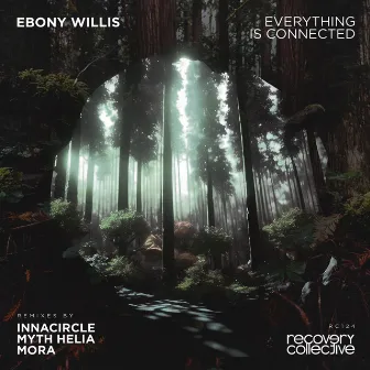 Everything Is Connected by Ebony Willis