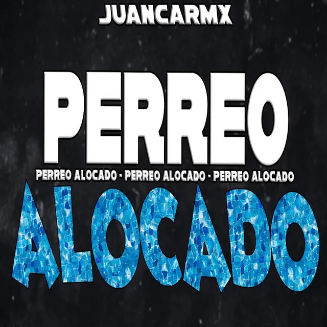 PERREO ALOCADO