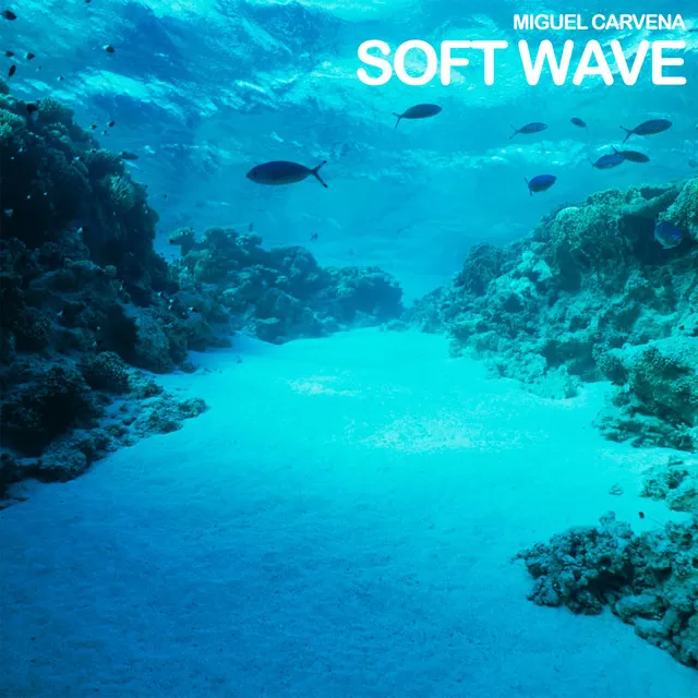 Soft Wave