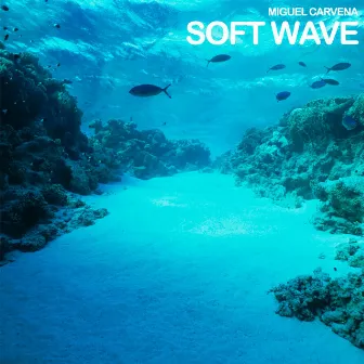 Soft Wave by Miguel Carvena