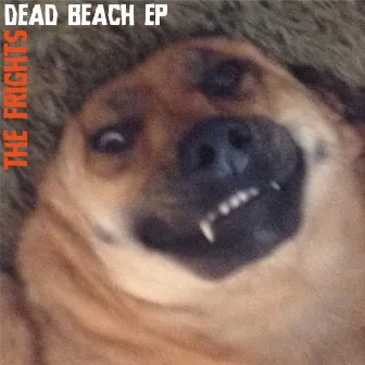 Dead Beach - EP by The Frights