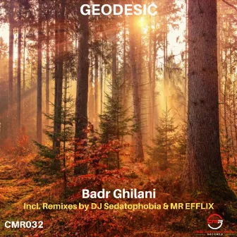 Geodesic by Badr Ghilani