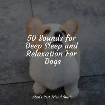 50 Sounds for Deep Sleep and Relaxation For Dogs by Relaxmydog