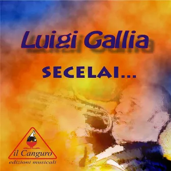 Secelai... by Luigi Gallia