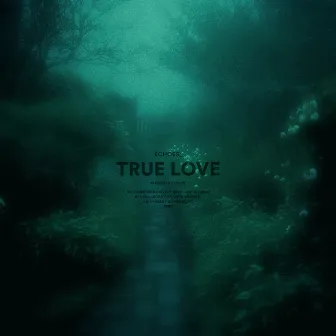 true love (sped up) by Echoes_