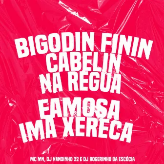 Bigodin Finin Cabelin na Régua - Famosa Imã Xereca by Dj Nandinho 22