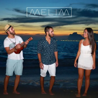 Peça Felicidade (Acústico) by Melim