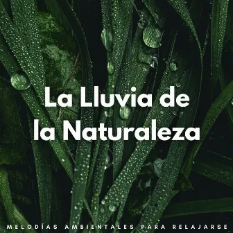 La Lluvia De La Naturaleza: Melodías Ambientales Para Relajarse by Asistente de relajación