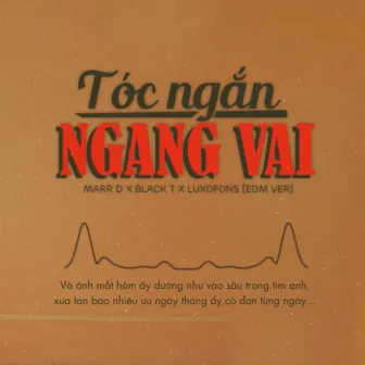 Tóc Ngắn Ngang Vai (EDM Version) by Black T