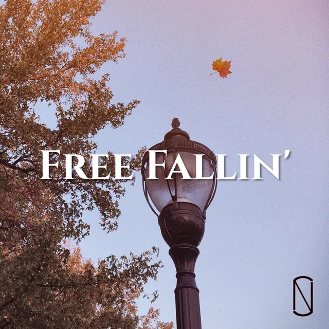 Free Fallin'