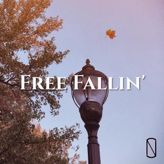 Free Fallin' by Noah Schlosser