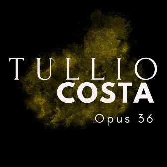 Opus 36 by Tullio Costa