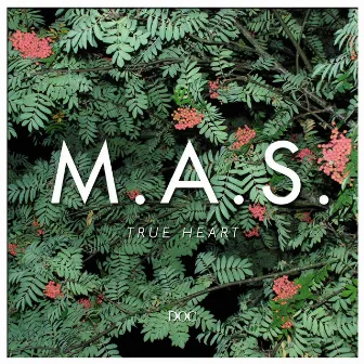 True Heart by M.A.S.