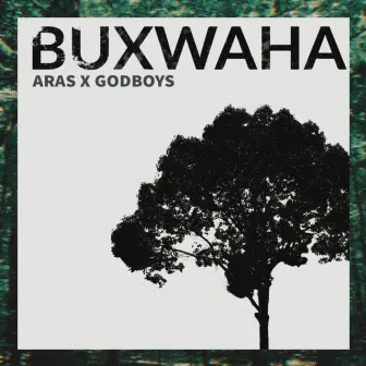 Buxwaha by Unknown Artist