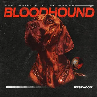 Bloodhound by Beat Fatigue