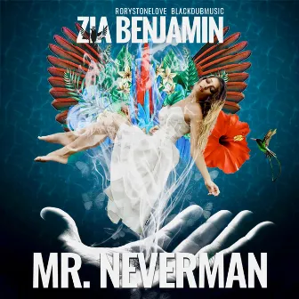 Mr. Neverman by Zia Benjamin